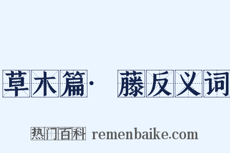 草木篇·藤反义词是什么意思的图片